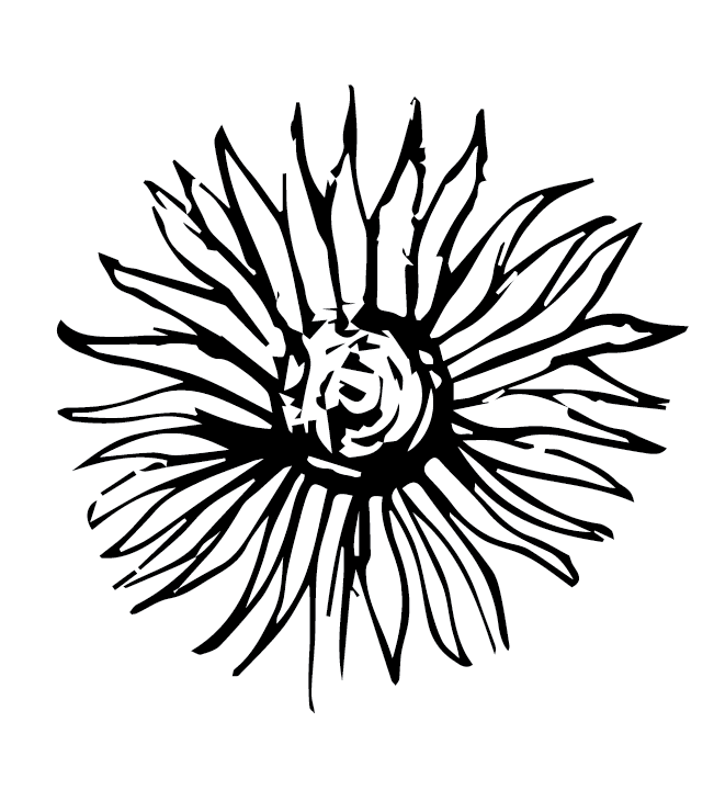 image trace flower