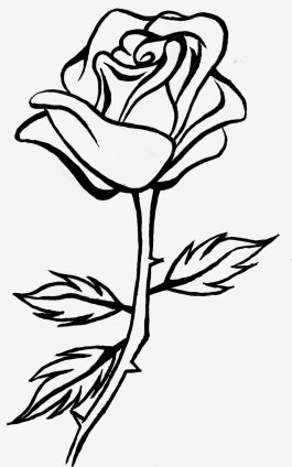 rose-line-drawing-clipart-1